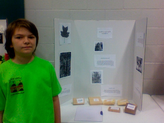 Awesome science fair projects
